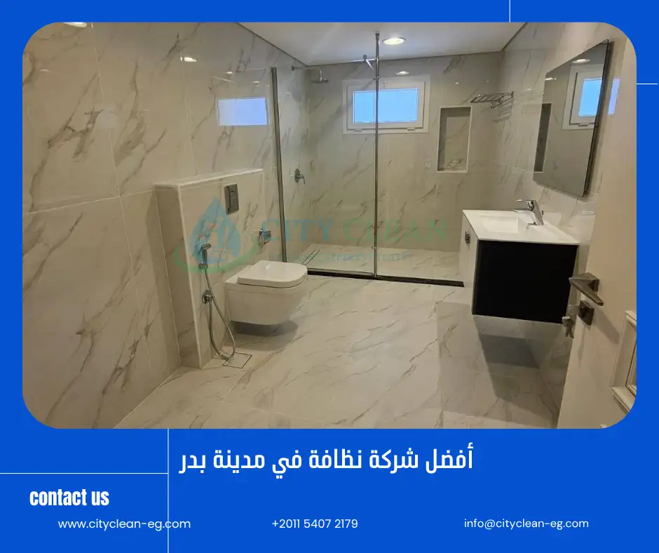 شركة نظافة في مدينة بدر